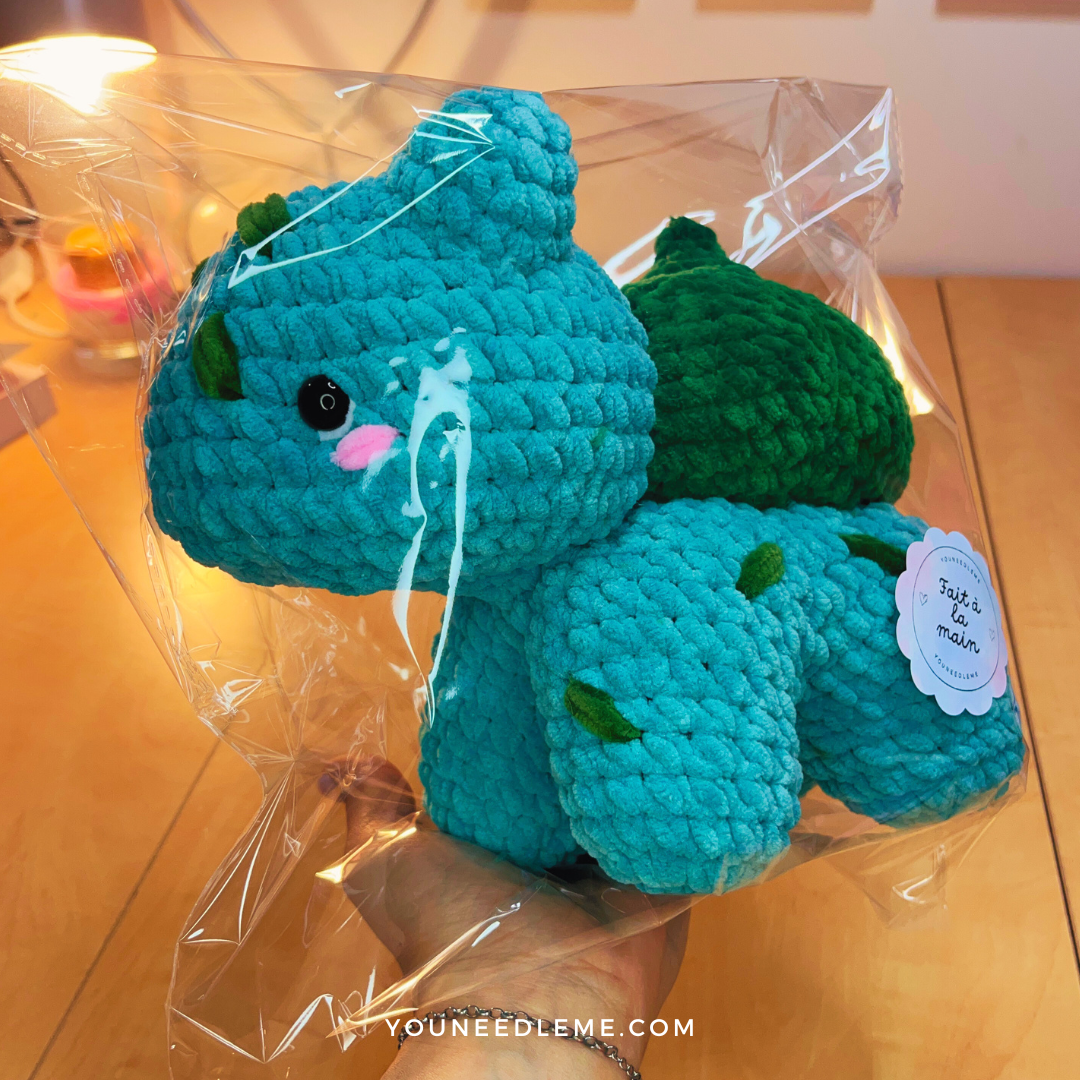 Commande personnalisée "Stéphanie - Bulbizarre"
