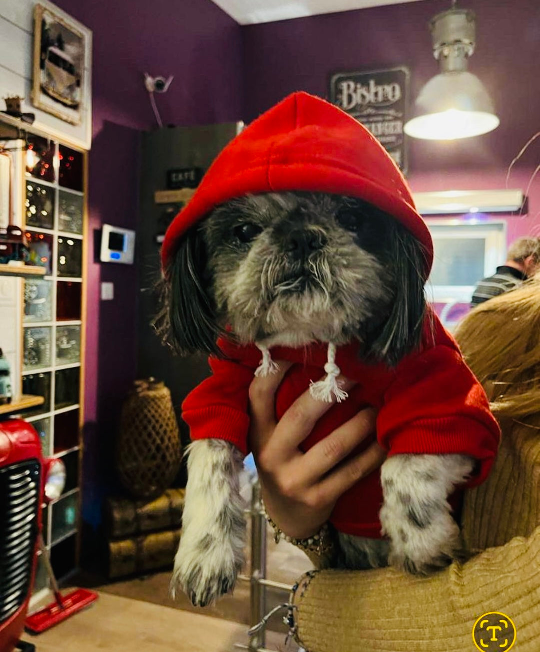 Commande personnalisée « Vanessa - chien 🐶❤️ »