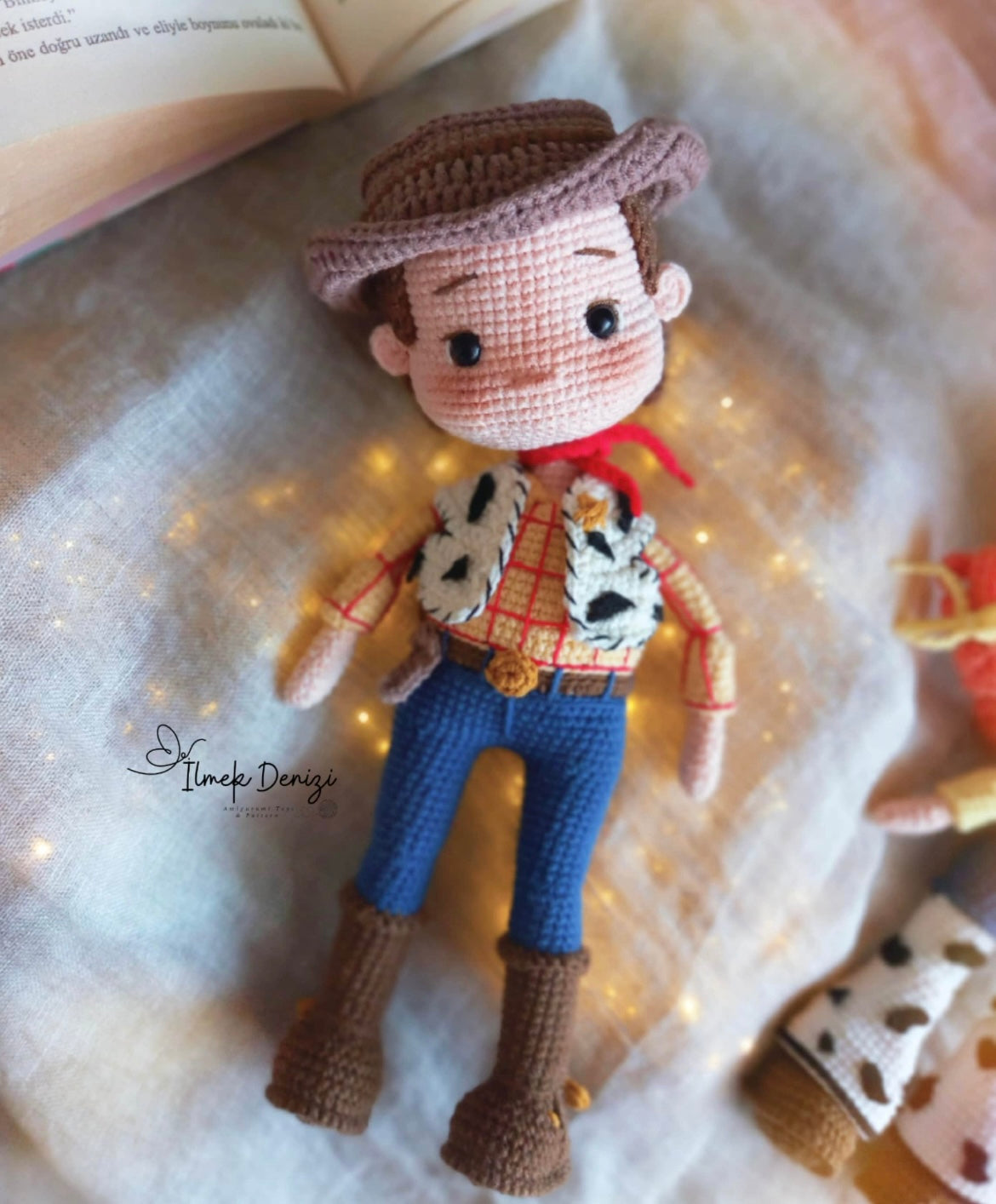 Commande personnalisée « Coste Nicolas - Buzz et Woody »