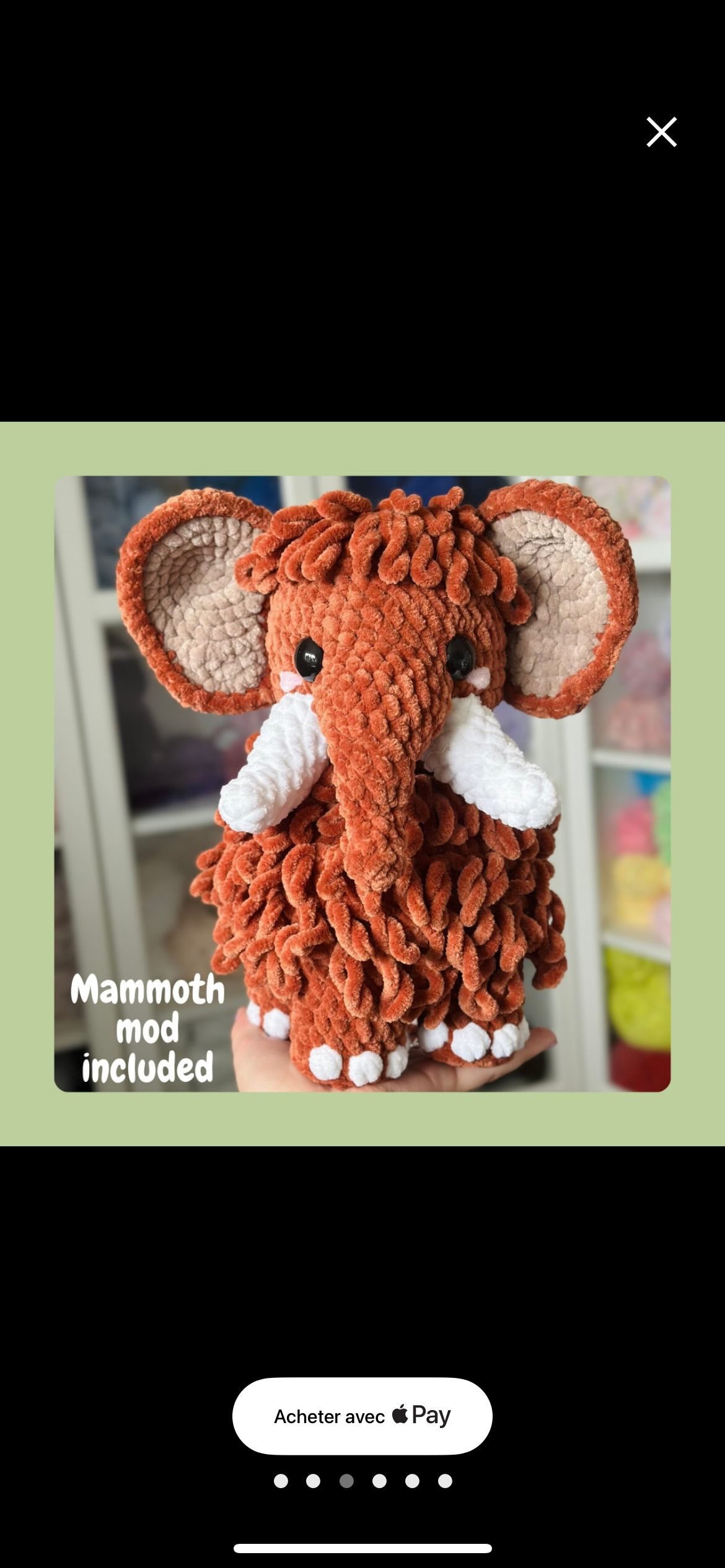 Commande personnalisée « Crocus - PChan / Mammouth 🦣 »