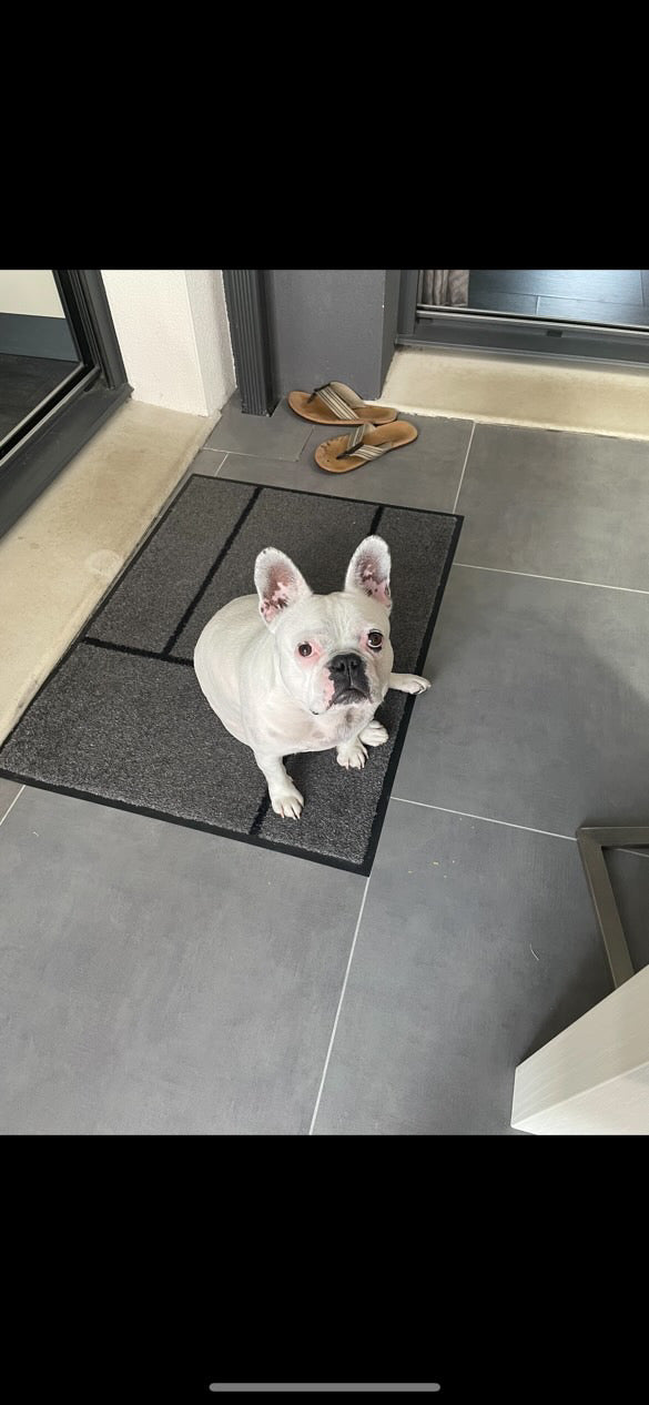 Commande personnalisée « bouledogue français 🐶 »