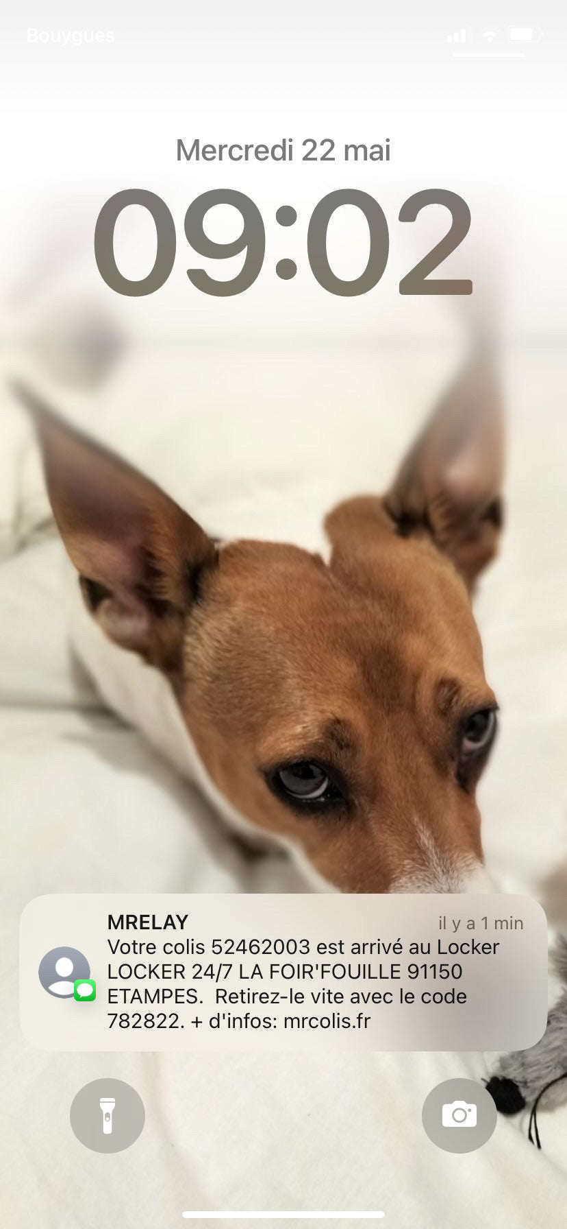 Commande personnalisée "Sandrine - Chien"