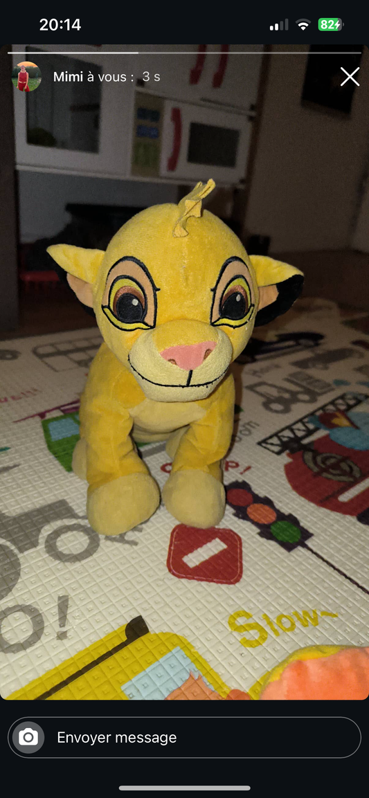Commande personnalisée « Mimi - Simba »