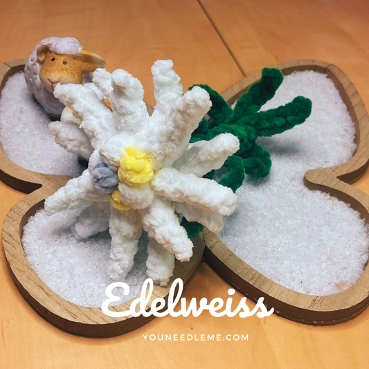 Commande personnalisée "Cindy - Edelweiss EN POT"