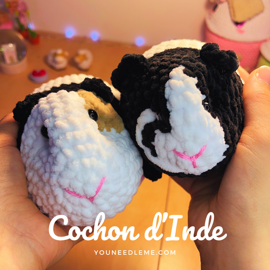 Commande personnalisée "Cianey Silver - cochon d'Inde"