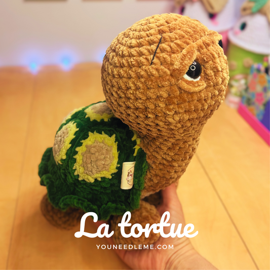 Commande personnalisée "Doolf09 - Tortue réaliste"
